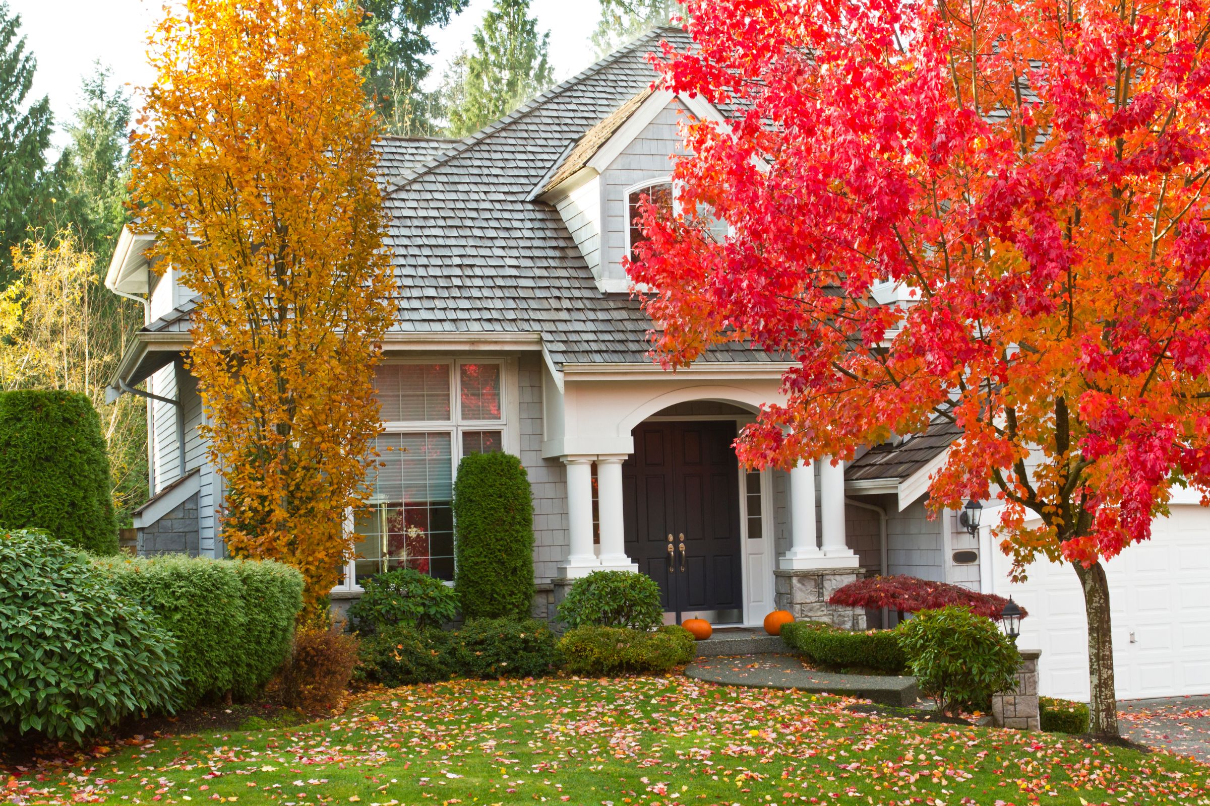 Seasonal Home Paint